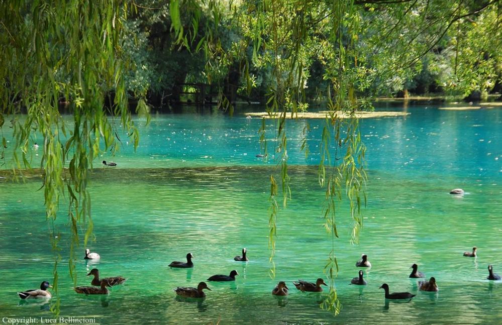 Casa Rosamari - Su Lago Di Posta Fibreno, Appartamento Con Camino 外观 照片